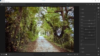 Screenshot of the effects panel in Lightroom