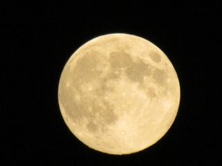 Carole Francis took this picture of the Harvest Moon over northeastern Pennsylvania, September 11, 2011.