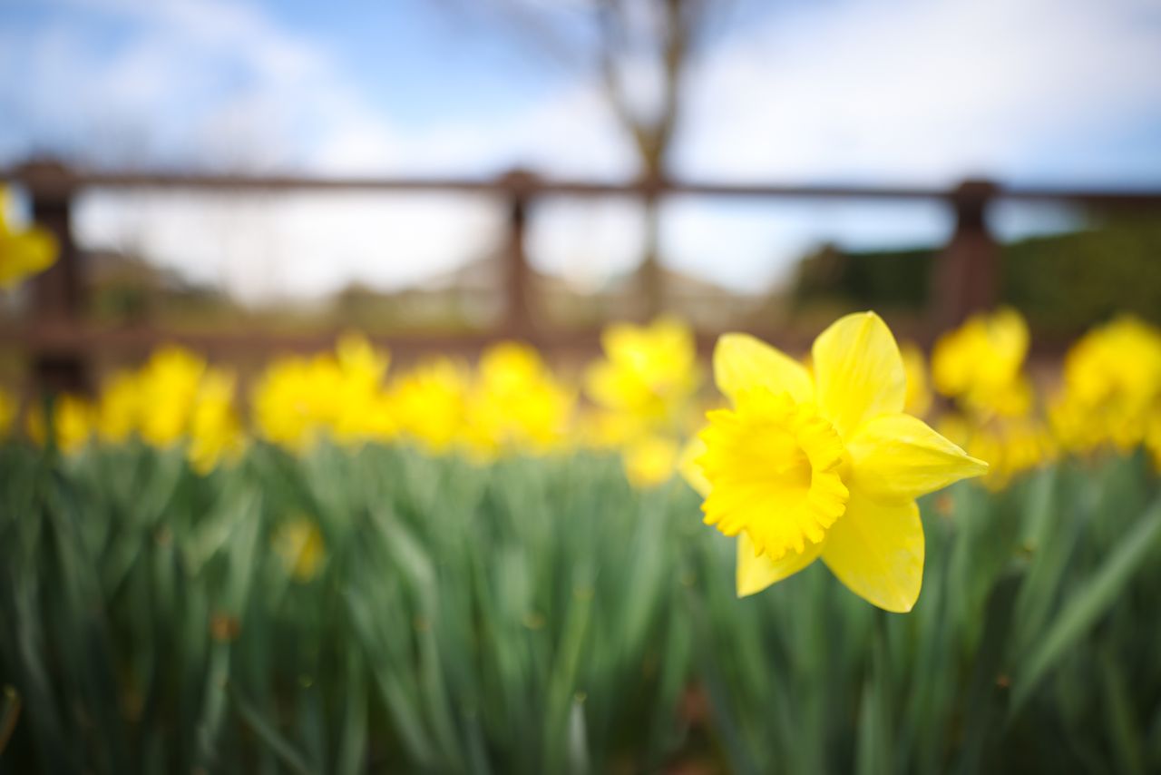Sample image taken on the Canon EOS R5 with the Canon RF 20mm f/1.4L VCM lens