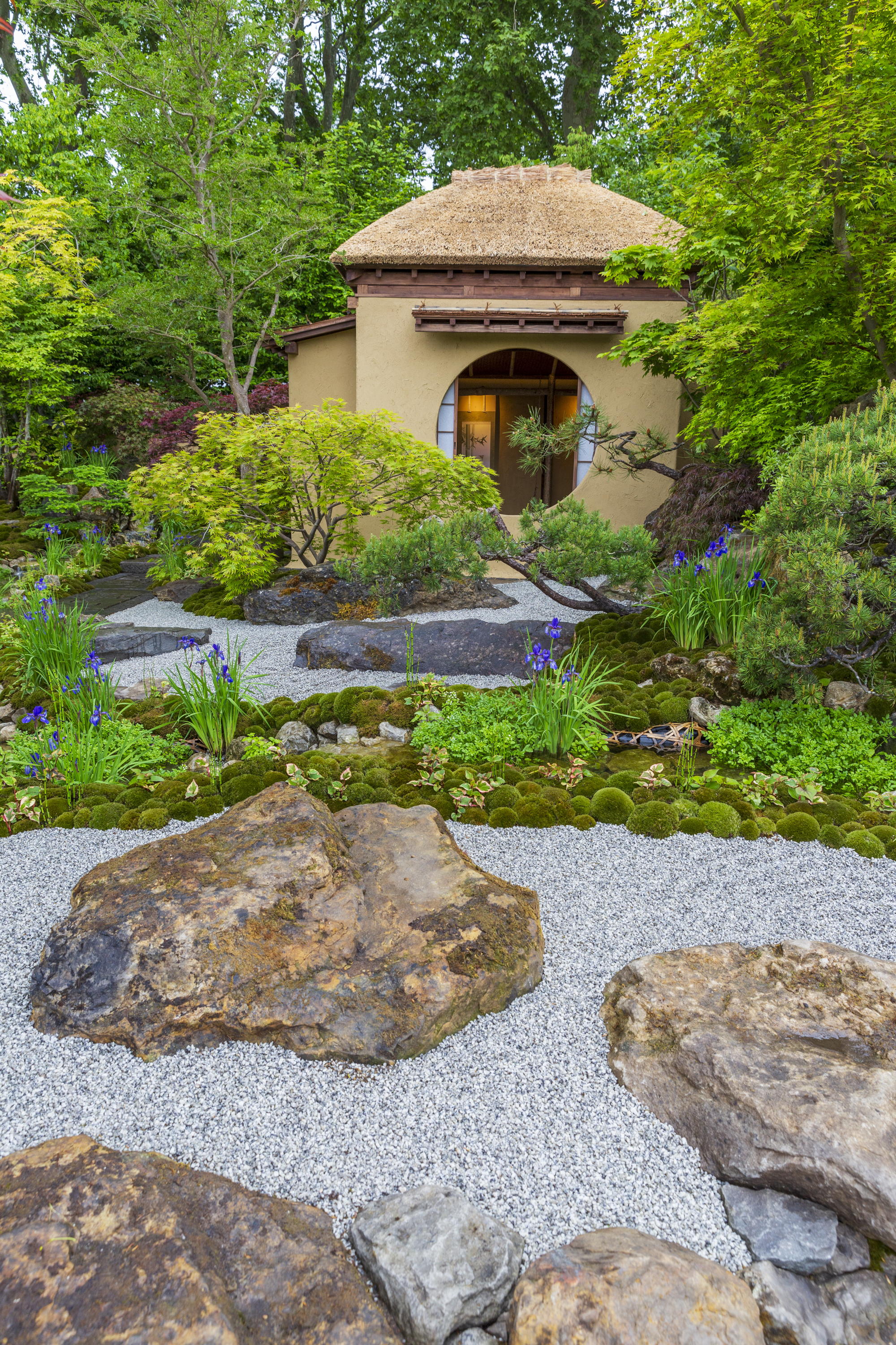 Cha no Niwa - Japanese Tea Garden at RHS Chelsea Flower Show 2025