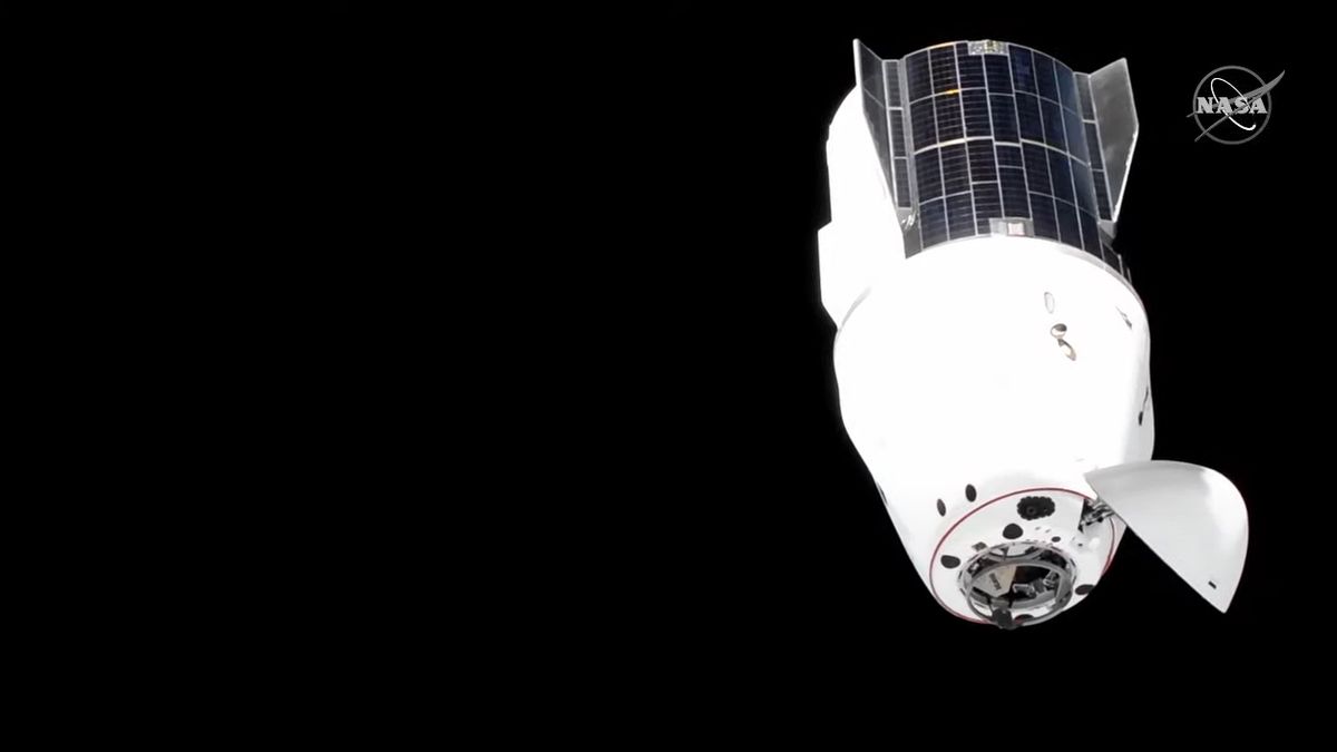 The Crew 2 astronauts aboard SpaceX's Crew Dragon Endeavour moved the spacecraft to a different docking port at the International Space Station on July 21, 2021 to make room for a new commercial space taxi, Boeing's Starliner spacecraft, which launches July 30.