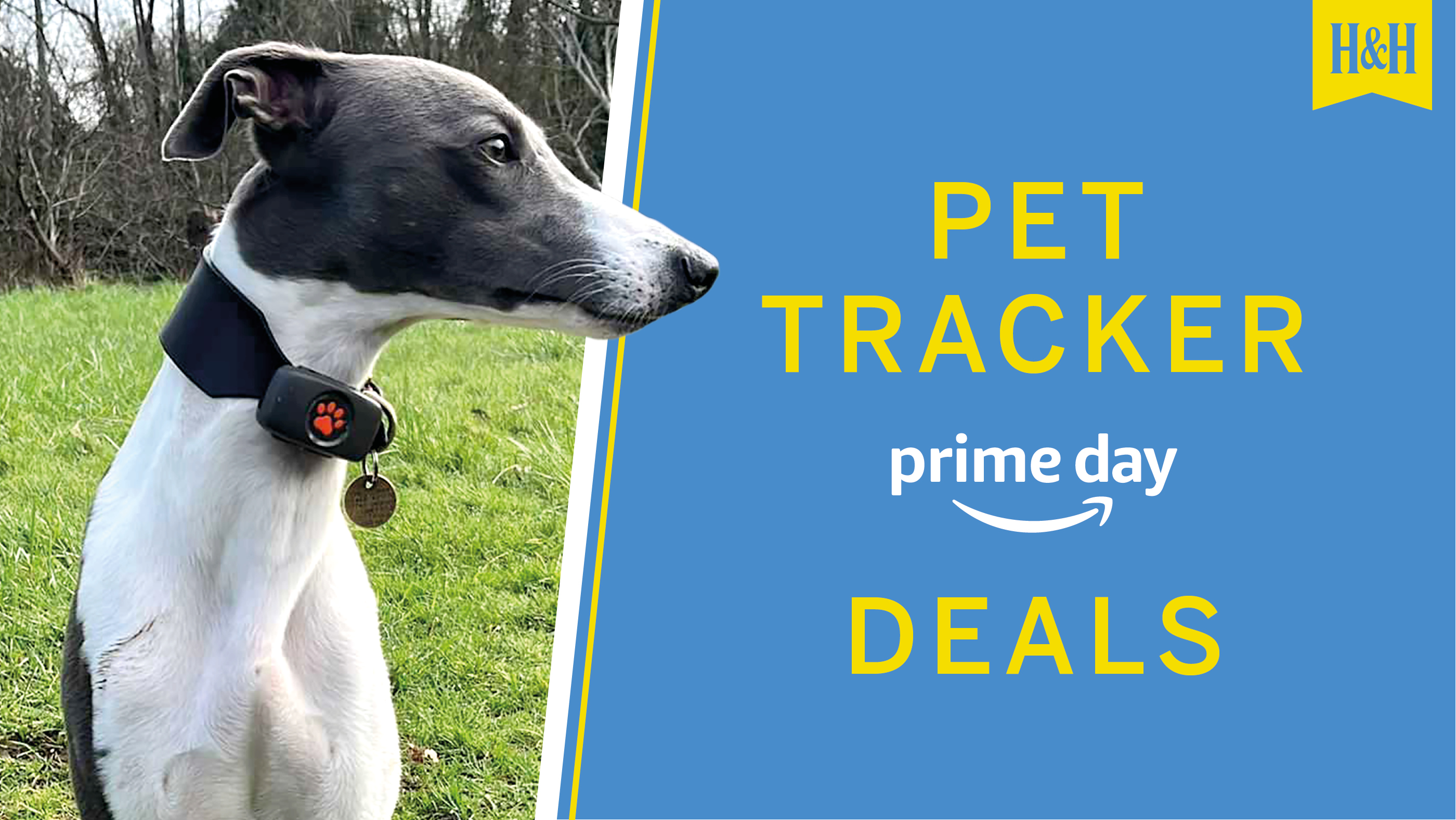 Amazon Prime Day pet tracker deals graphic