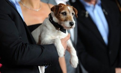 Uggie, the breakout canine star of &amp;quot;The Artist&amp;quot; is see with his fellow actors at a special screening of the likely Best Picture nominee.