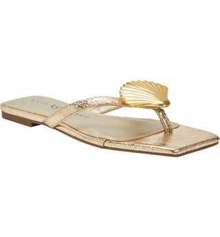 The Camie Shell Flip Flop