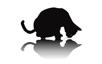 Cartoon cat peering at its shadow