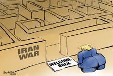 Political Cartoon