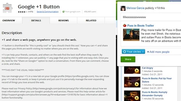 Google +1 Button
