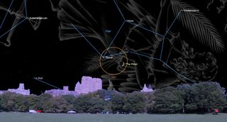 Bushy trees form a low horizon in front of backgound buildings, barely breaching the trees' line. Above, a vast night sky with blue lines connecting light points to show constellations. A giant upsidedown/sideways character is seen on the right sky, and the outline of a medium sized orange circle captures a small crecent moon.