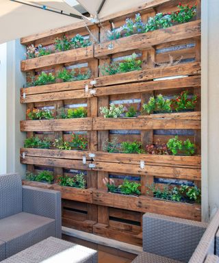 pallet garden wall ideas vertical planter