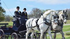 Heath-working-taken-by-The-Royal-Parks-1.jpg