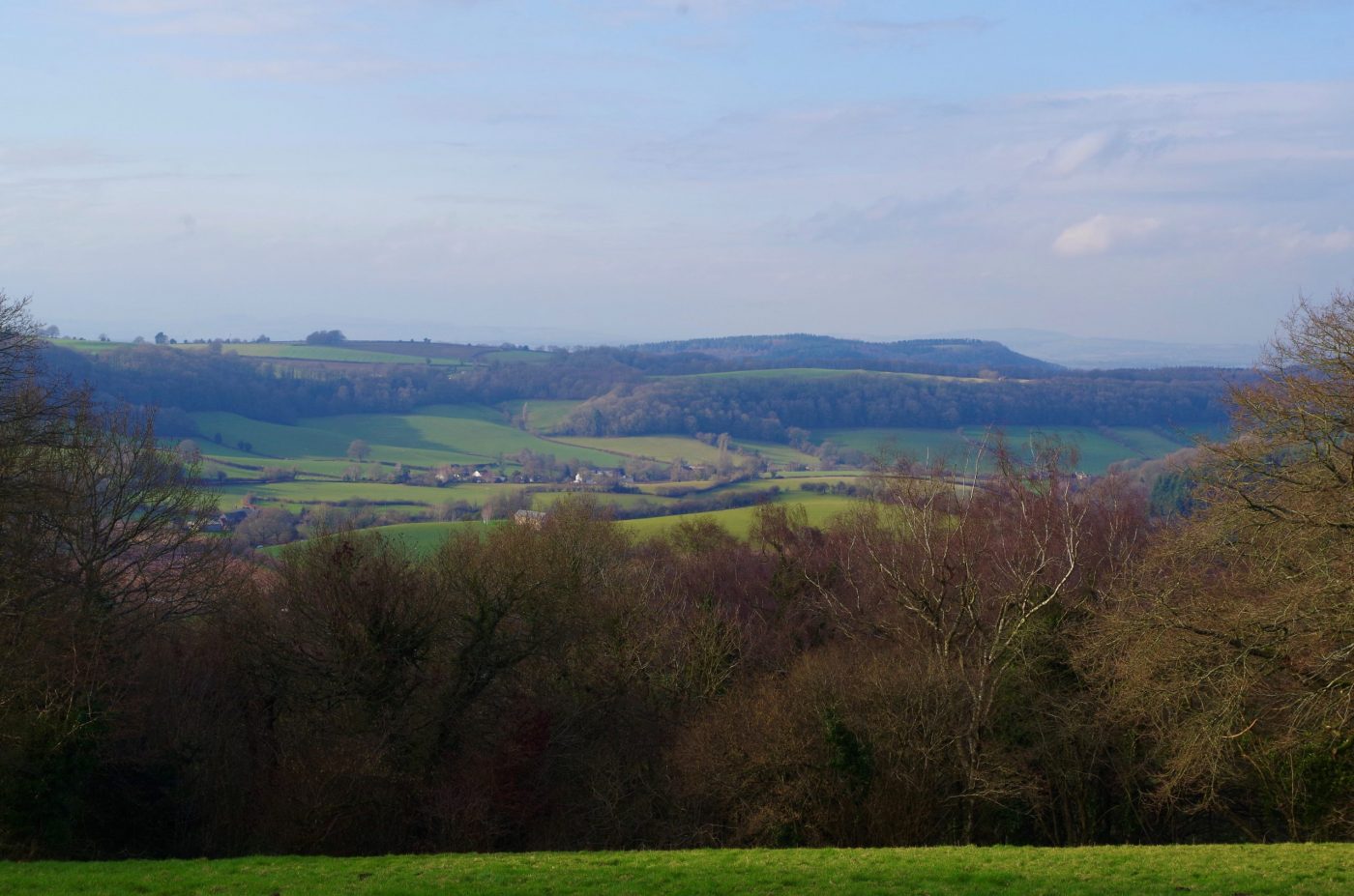 view-1-scaled-e1591611850748.jpg