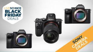 Sony camera black friday deals