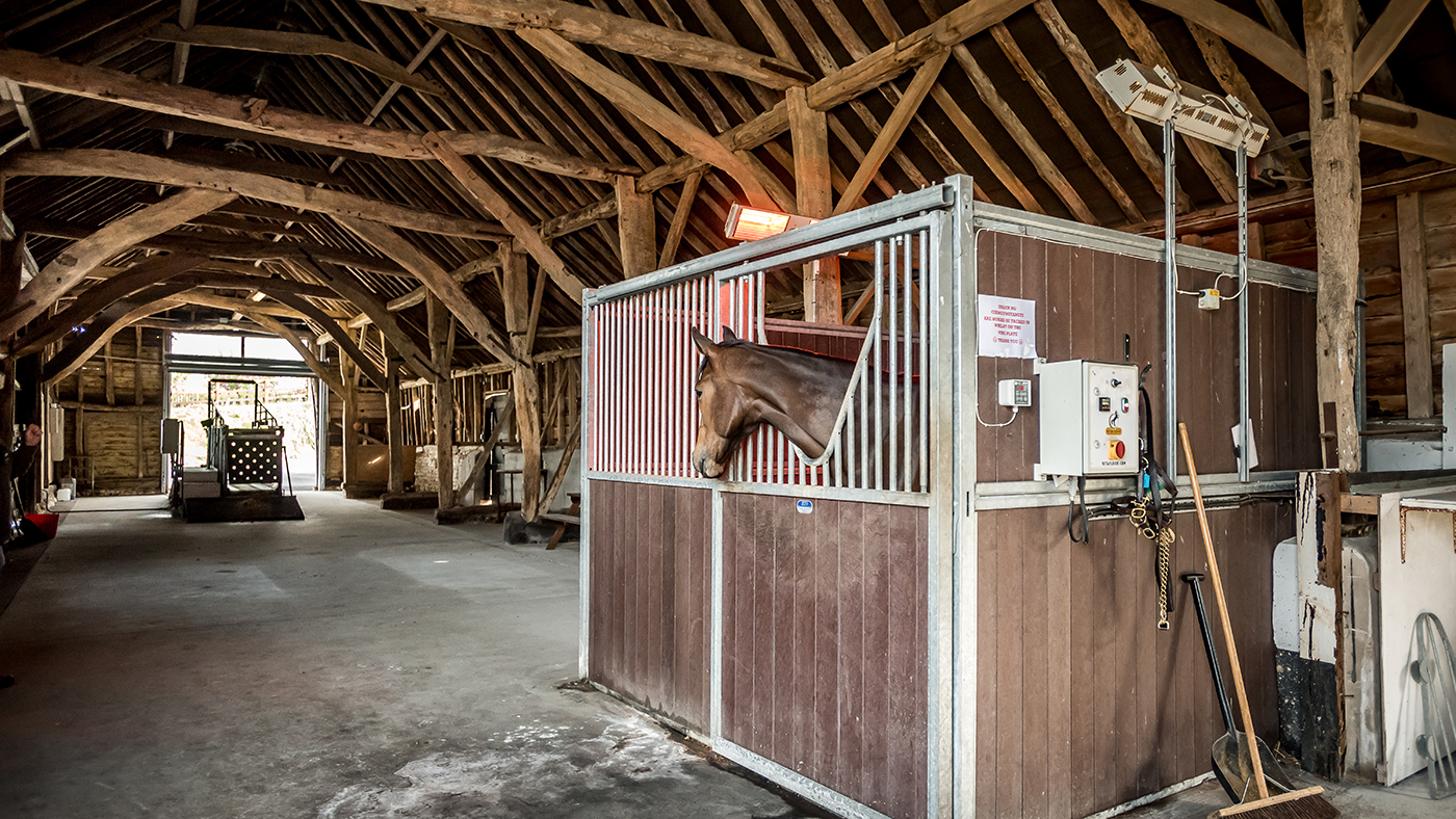 Longholes May 2019-29 (1)
