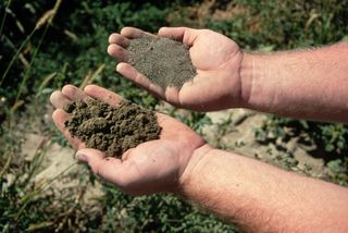 A man holds a handful of dark, loam soil in his left hand and lighter sandy soil in his right hand
