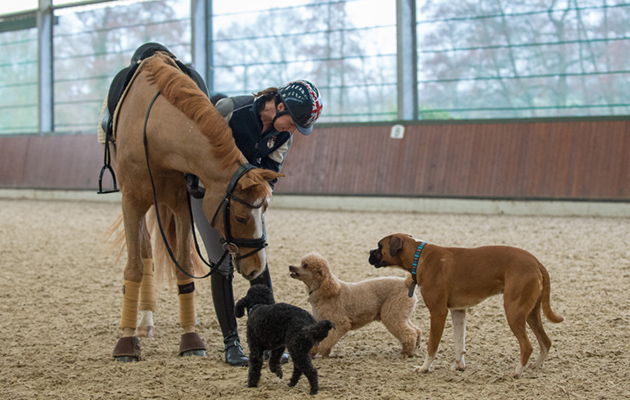 Carl Hester and Charlotte Dujartdin shoot access all areas 12 03 2018