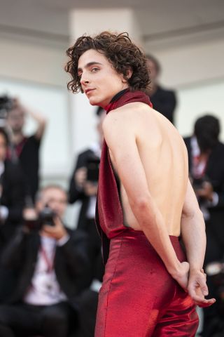 Timothee Chalamet attends red carpet of thed movie of "Bones and all" during the 79th Venice International Film Festival at the Palazzo del Casino in Lido of Venice, Italy on September 02, 2022