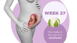 Pregnancy week by week 27