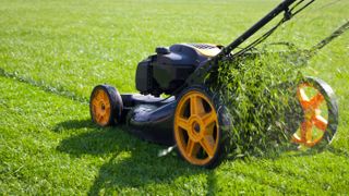 A lawn mower cutting the grass