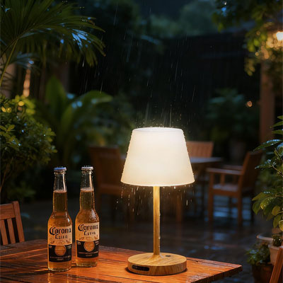 rechargeable outdoor table lamp from Amazon