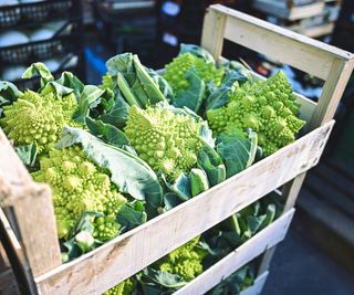 Romanesco broccoli heads sit in crate