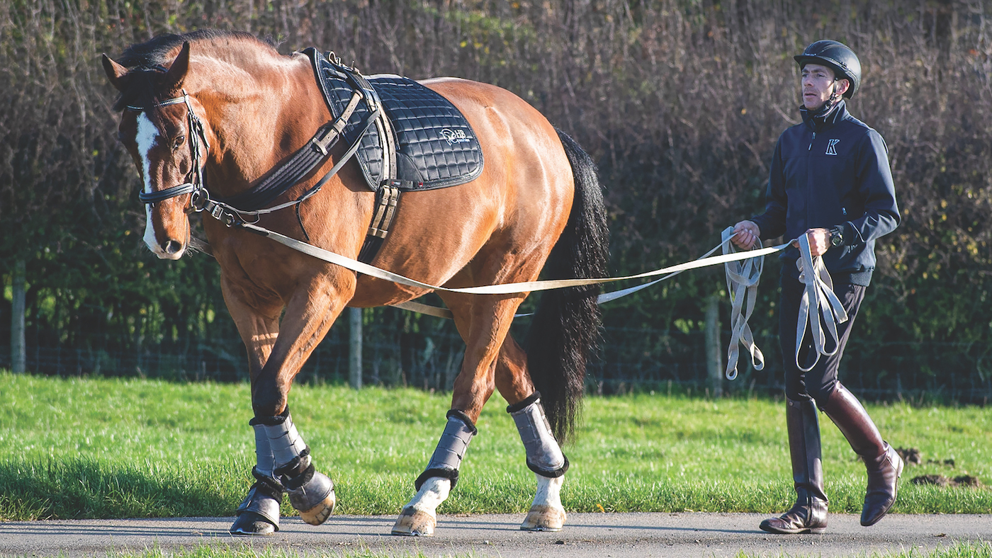 Long reining is a key part of training