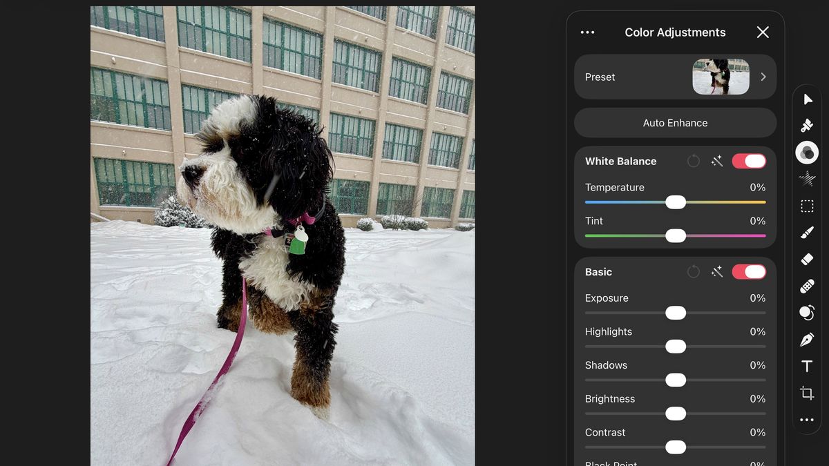 Pixelmator Pro on iPad, Apple Creator Studio