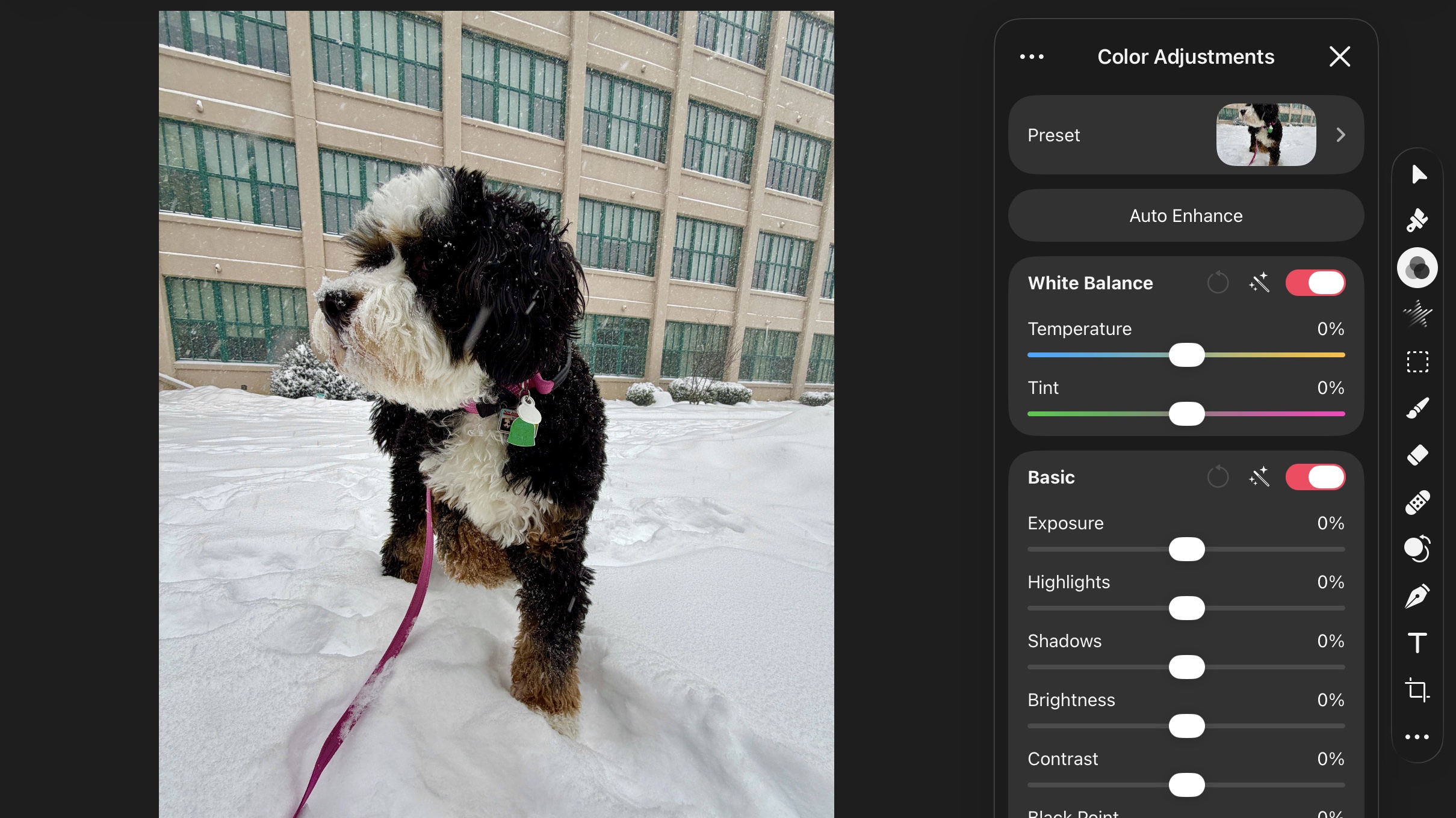 Pixelmator Pro on iPad, Apple Creator Studio