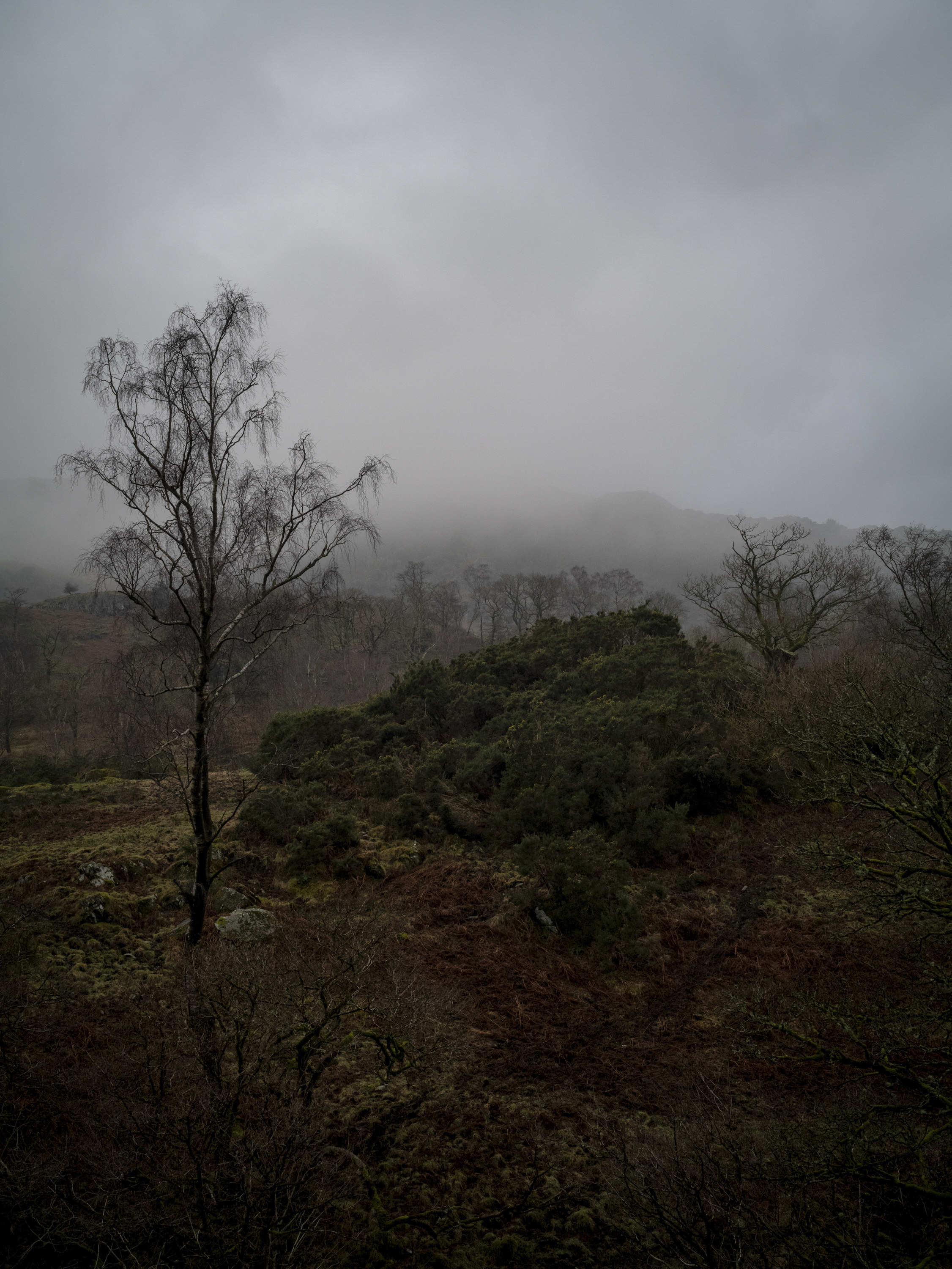 Hodge Close Quarry, Cumbria, from The Edge of Ruin