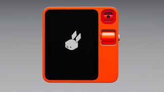 Rabbit r1