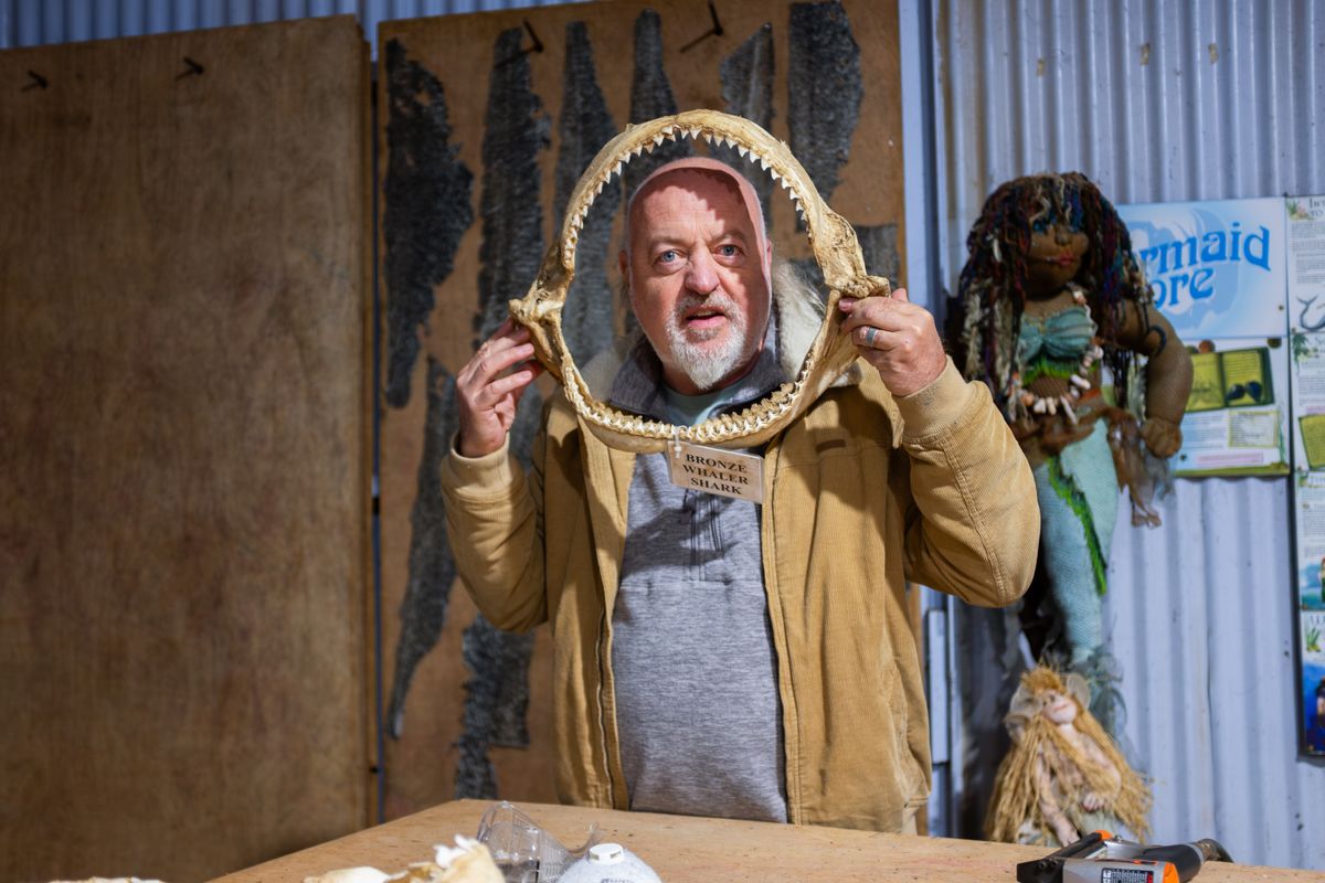 Bill Bailey&#039;s Australian Adventure sees the comedian having fun for his new Channel 4 series.