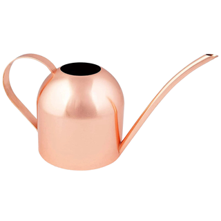 A copper mini watering can