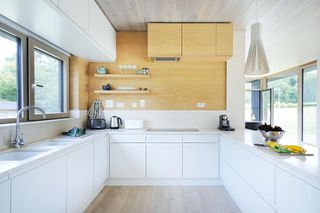 contemporary kitchen with ceramic units
