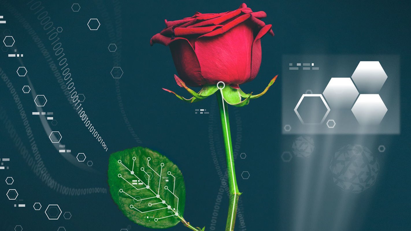 The first cyborg plants have been created in Sweden