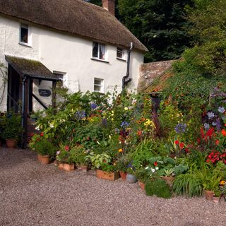 Gravel driveway next to floral garden outside a double story white cottage
