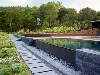 pool landscaping ideas: contemporary pool with landscaping garden featuring Corten steel raised beds
