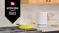Lifestyle image of the Molekule Air Mini+ sitting next to a saucepan with a T3 black Prime Day deals badge