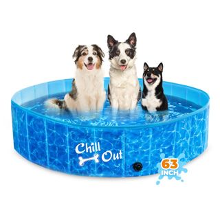 All For Paws Chill-Out 63” Foldable Dog Swimming Pool