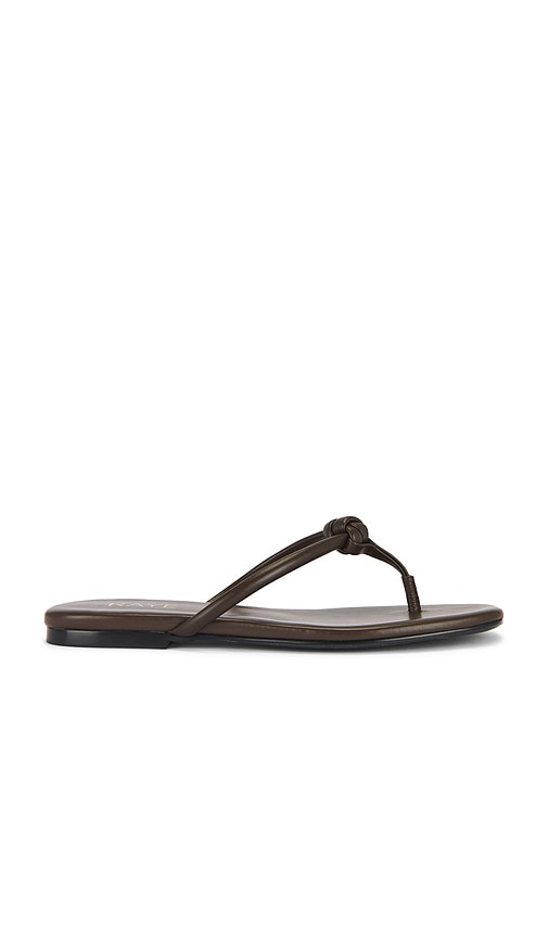 Aarav Sandal