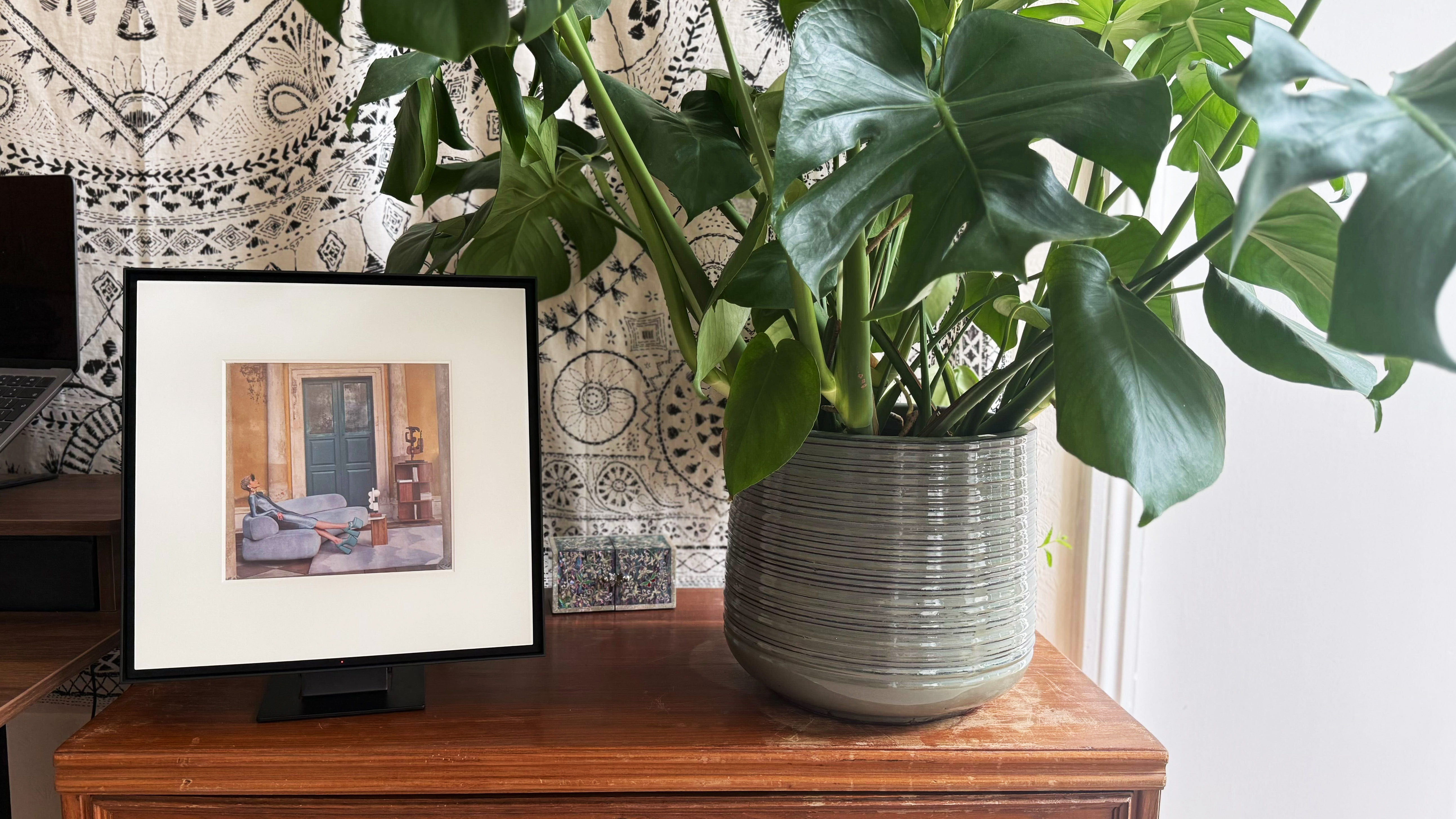 the samsung music frame speaker photographed near a monstera plant on a wood sideboard