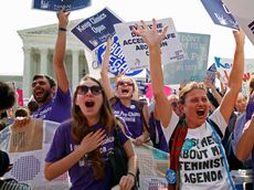 Demonstrators celebrate at the Supreme Court.