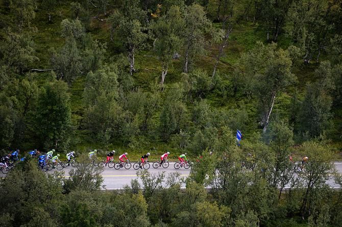The peloton