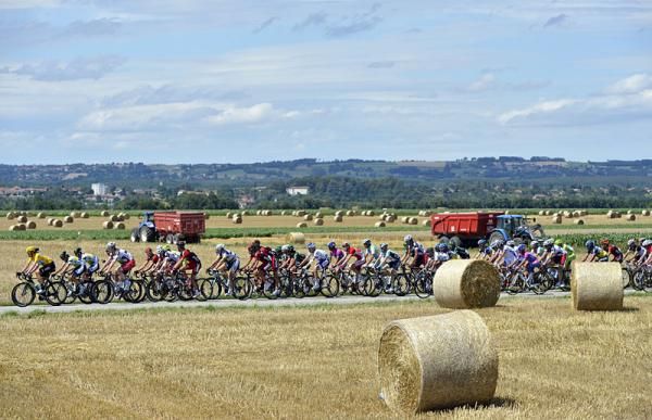 The peloton on stage 12
