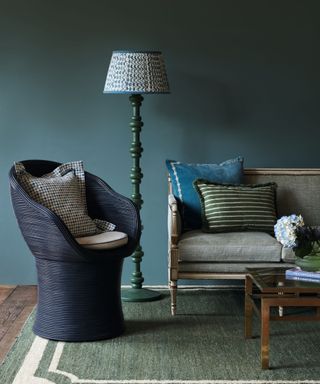 Sitting room with blue walls, chair, sofa, coffee table, floor lamp and rug