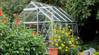 picture of greenhouse with plants outside it