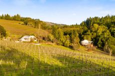 California pinot noir property listed for sale