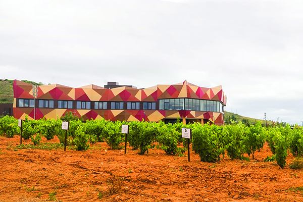 Bodegas-FyA-winery-at-Navarrete-Rioja.-Daniel-Acevedo.jpg