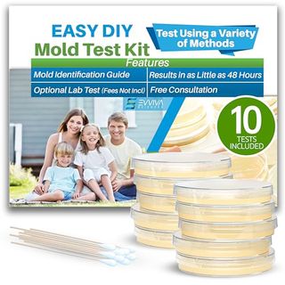 Evviva Sciences Mold Test Kit for Home - 10 Simple Detection Tests with swaps and round lab pots and the external packaging visible.