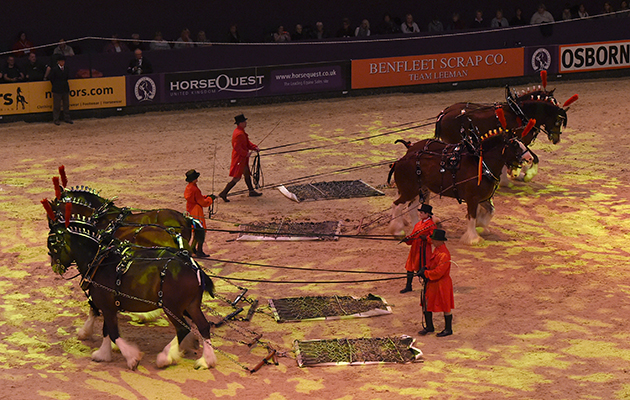 Display-Musical-Drive-of-the-Heavy-Horse_HOYS_PN16_1031.jpg