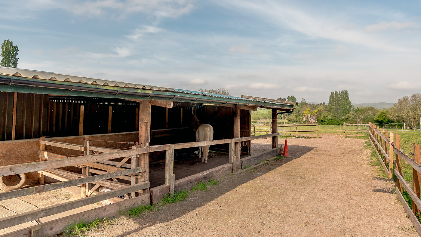 8419031-exterior12