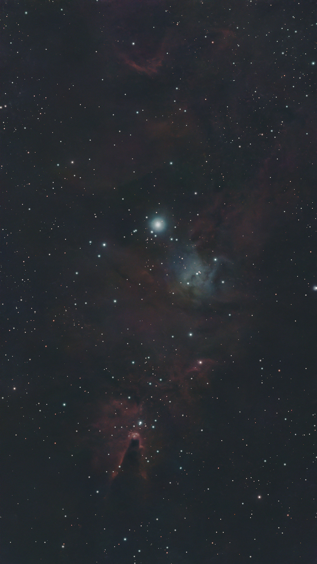 The Cone nebula photographed with the ZWO Seestar S50 and processed in Pixinsight